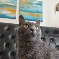 Ignacio